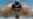 Michael Phelps recupera el brillo