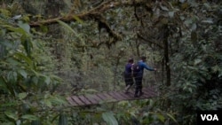 Un grupo de turistas fue registrado en la caminata a la cascada La Chorrera. Foto: Javier Hernández, VOA.