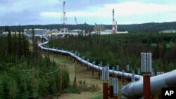 خط لوله انتقال نفت و گاز «ترانس-آلاسکا» در شهر فیربنکس آلاسکا (عکس از آرشیو)