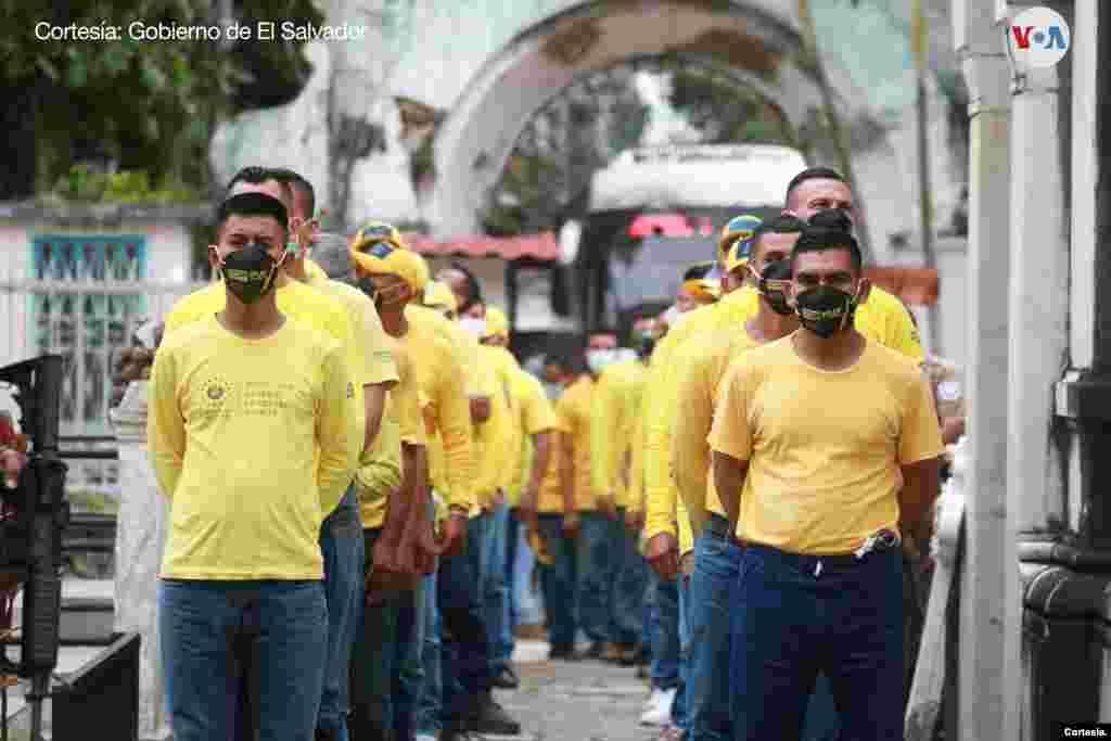  Aunque la Mara Salvatrucha tiene presencia en varios países incluyendo Estados Unidos, desde hace décadas se arraigó en El Salvador. &nbsp;