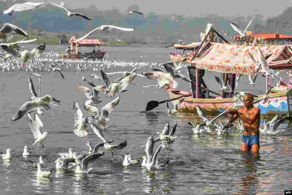 A man offers prayers as migratory Siberian seagulls fly over the river Narmada on a wintry morning in Jabalpur, India.