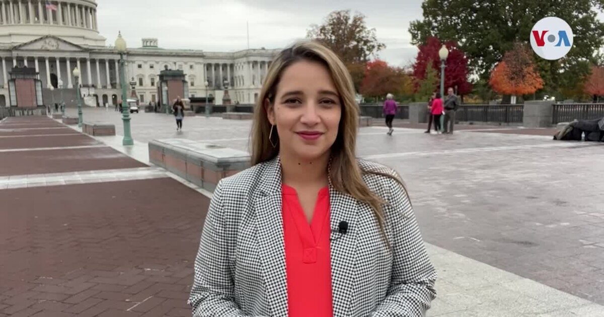 Entendiendo las elecciones de medio término en Estados Unidos