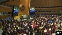 资料照片：联合国妇女地位委员会召开第63届会议（2019年3月11日）