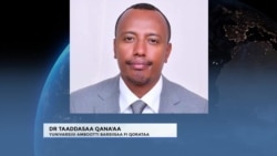 Waliigalteen Araaraa Lola Tigiraay Furuuf Tolfame Lola naanoolee Biroo Keessaa Furuufis Itti Fufuu Qaba jedhu Kannneen yaada kennan