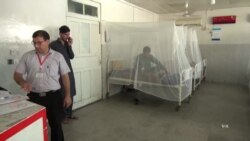 په پیښور کې ٨٠٠ کسان د ډینگي ناروغۍ ښکار شوي