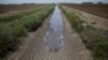 دردسرهای زندگی در کالیفرنیا، ایالت گرفتار خشکسالی