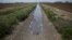 California Drought