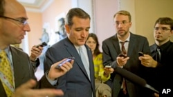 Senator Ted Cruz is pursued by reporters upon his return to Capitol Hill in Washington, Oct. 11, 2013.