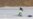 Meet Samuel Ikpefan, Nigeria's Cross-Country Skier at Winter Olympics