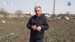 Ters Lale Köylülere Emanet 