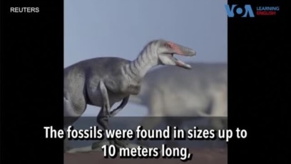 Scientists Find Dinosaur Fossils in Patagonia