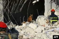 Algerian rescue teams use a dog as they take part in search and rescue operations in Syria's northern city of Aleppo, Feb. 8, 2023.