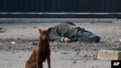 Pas lutalica sjedi u blizini mrtvog tijela lokalnog građanina, ubijenog u ruskom granatiranju koje je pogodilo industrijsku zonu u Hersonu u Ukrajini.
