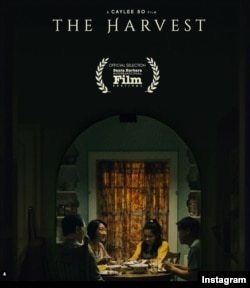 Poster film "The Harvest" (Illustration & Graphic: @vammoua, Foto: @devon.wycoff/IG: douamoua)