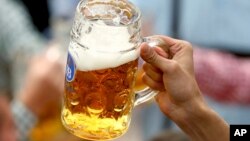 Udaba Esilwethulelwe nguMavis Gama