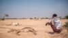 Les éleveurs de la Corne de l'Afrique attendent depuis plus de deux ans des précipitations qui ne viennent pas.