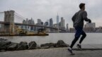 Một người đàn ông chạy bộ ở gần cầu Brooklyn, New York, vào ngày 25/1/2023. Thành phố này vừa phá vỡ kỷ lục của 50 năm trước về đợt tuyết mùa đông đến trễ nhất.