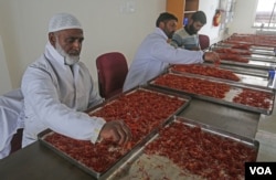 Saffron is nicknamed as red-gold. The red strains are separated from yellow ones and flowers after cultivation is over. (Wasim Nabi for VOA)