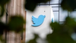 Quiz - Twitter Puts Daily Limits on Number of Tweets Users Can Read