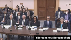 US House hearing on Covid-i19. (Screenshot)