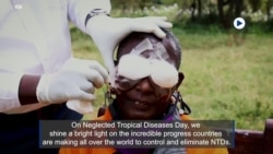Neglected Tropical Diseases Day 2023