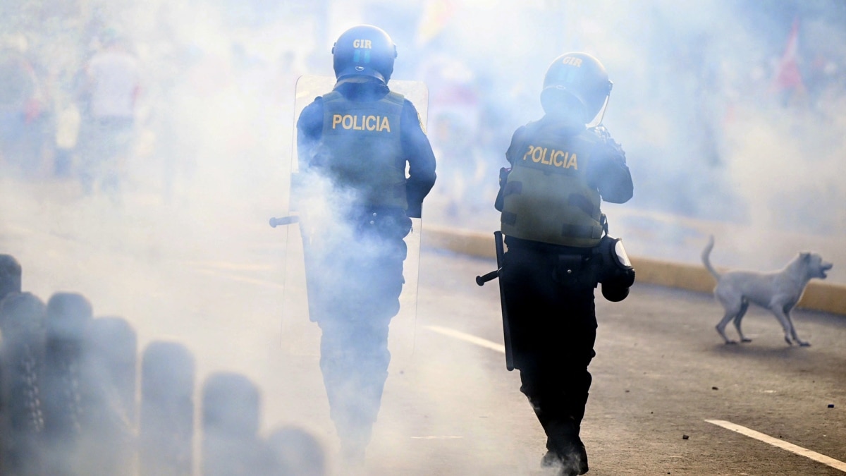 Boluarte Calls for Peru 'Truce' as Protesters Mass Again in Lima - Vimarsana News