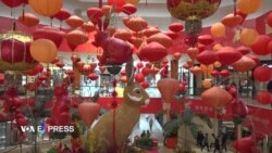 Trang trí tết tại Mỹ