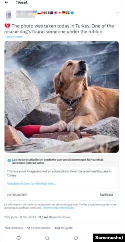 Publicación falsa sobre supuesto rescate canino en Turquía.
