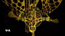 Nimayîşeke Akrobatîk li Şîlî Temaşevanan Kêfxweş Dike