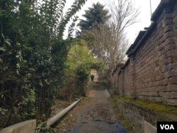 Silent pavement inside the house of ‘The poet of silence’ Rehman Rahi in the Nowshera area of Srinagar in Indian-administered Kashmir. (Bilal Hussain/VOA)