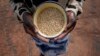 UN Eyes Revival of Millets as Global Grain Uncertainty Grows