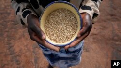 Maria Chagwena, a millet farmer, holds a plate with millet grains outside her house in Zimbabwe's arid Rushinga district, northeast of the capital Harare, Jan. 18, 2023.