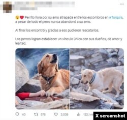 Publicación falsa en Twitter sobre supuesto rescate en Turquía.