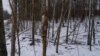 A Soviet-era gas mask rests on a tree outside the Chernobyl Nuclear Power Plant in Ukraine, Jan. 31, 2023 (VOANEWS/Yan Boechat)