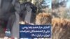 گلباران مزار حمیدرضا روحی، یکی از کشته‌شدگان اعتراضات تهران در آبان ۱۴۰۱