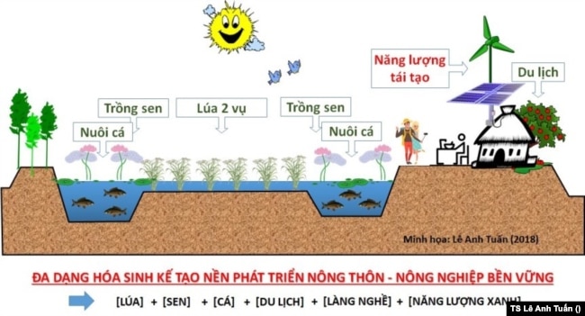 Một điển hình về đa dạng hóa sinh kế phát triển nông thôn “phi công trình” không gây tổn thương cho hệ sinh thái ĐBSCL. [nguồn: TS Lê Anh Tuấn, ĐH Cần Thơ]