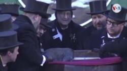  Marmota Punxsutawney Phil pronostica seis semanas más de invierno en EEUU