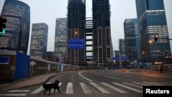 北京金融区正在修建的高楼与空荡荡的街道。(2023年1月11日)