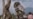 Through the Lens: Deforestation Imperils Famed DR Congo Reserve
