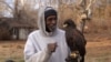 USA, Maryland, Rodney Stotts with his hawk