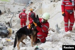 Pripadnik iranskog spasilačkog tima drži psa za spasavanje dok stoji na ruševinama oštećene zgrade, nakon zemljotresa u Alepu, Sirija, 10. februara 2023.