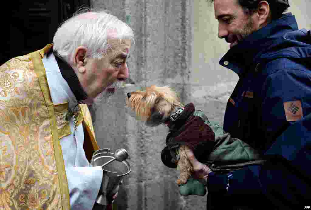 A dog is blessed by a priest during San Anton Abad&#39;s Day (Saint Anthony, patron saint of animals) at San Anton church in Madrid, Spain.