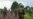 Congolese President Says M23 Rebels Have Not Withdrawn as Agreed