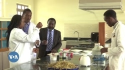 Dans un labo au Kenya, de la farine à base d'herbes pour contrer la malnutrition