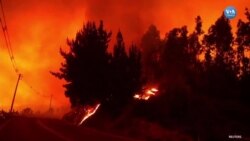 Şili’den Uluslararası Yardım Çağrısı