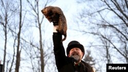 AJ Dereume holds up Phil the groundhog as he is to make his prediction on how long winter will last during the Groundhog Day Festivities, at Gobblers Knob in Punxsutawney, Pennsylvania. Phil saw his shadow, a sign of six more weeks of frosty weather in North America, which so far has enjoyed one of the mildest winters on record.