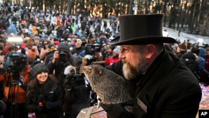 Groundhog Day: Weather Predictions from the Animal World Groundhog Day: Weather Predictions from the Animal World