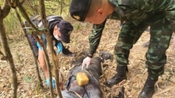 ထိုင်းမြန်မာနယ်စပ်မှာ မူးယစ်ဆေးပြား သန်းနဲ့ချီ ဖမ်းဆီးရမိ