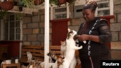 Rachael Kabue, 51, trims one of 600 cats at the Nairobi Feline Sanctuary at her home in the Kenyan capital on Thursday, Jan. 12, 2023.