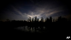 Pemandangan dari area perkemahan di Okefenokee National Wildlife Refuge di Folkston, Georgia, pada 30 Maret 2022. (Foto: AP/Stephen B. Morton)